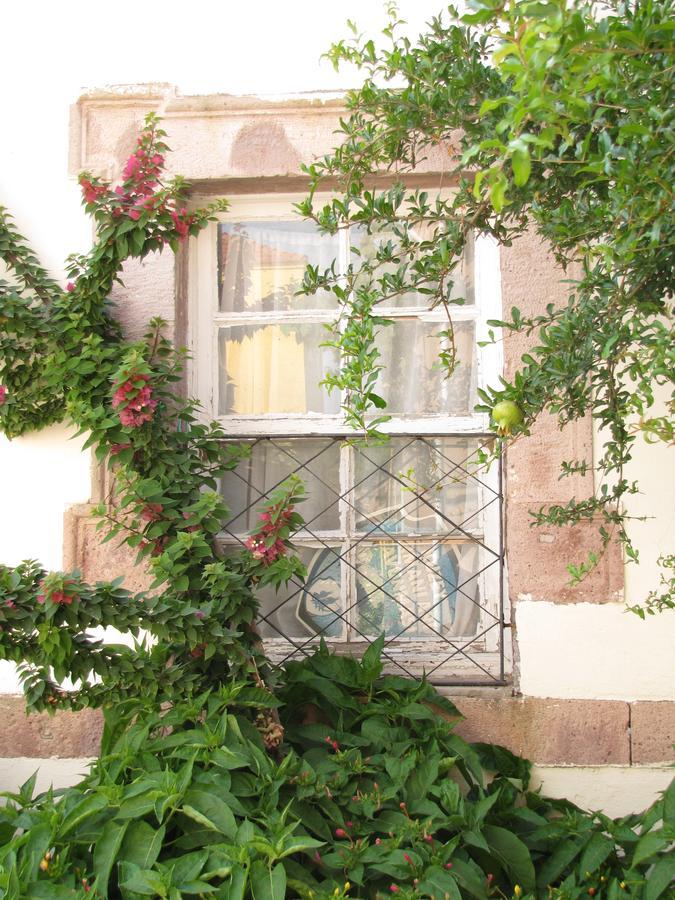 Eolos House Cunda Ayvalı エクステリア 写真